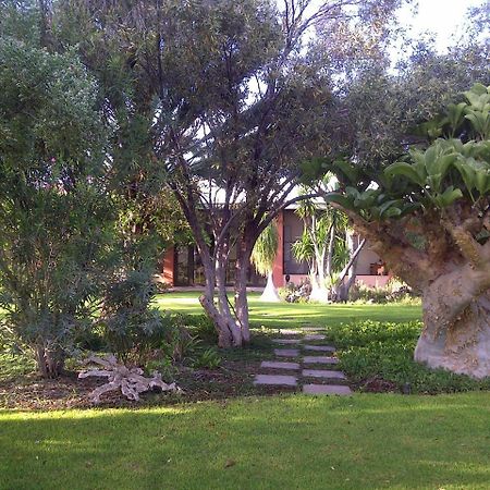 فيلا Buschberg Guest Farm أوتجو المظهر الخارجي الصورة
