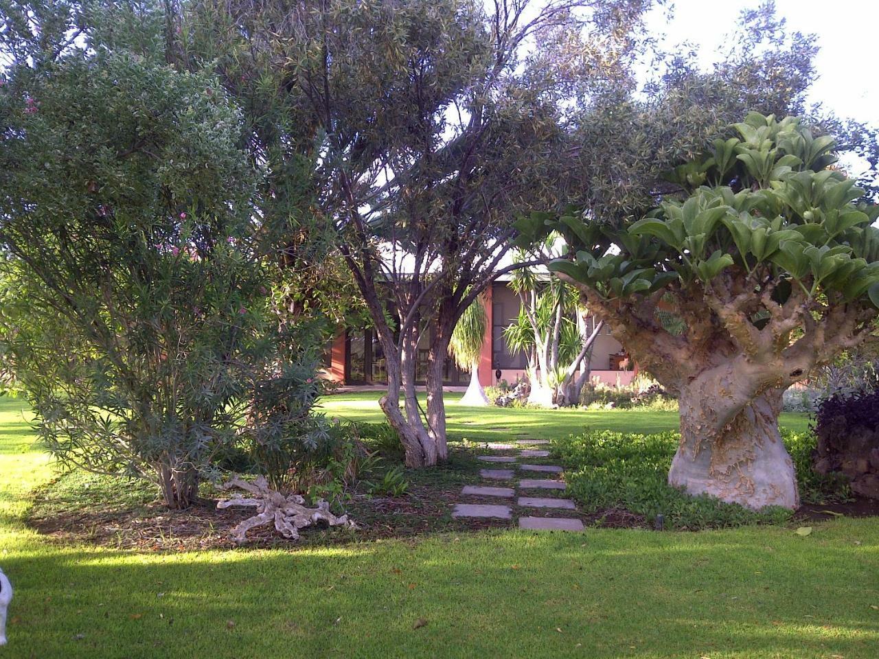 فيلا Buschberg Guest Farm أوتجو المظهر الخارجي الصورة